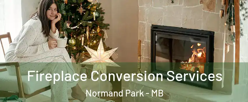  Fireplace Conversion Services Normand Park - MB