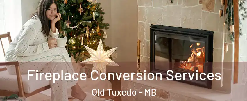  Fireplace Conversion Services Old Tuxedo - MB
