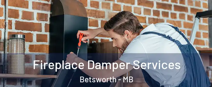  Fireplace Damper Services Betsworth - MB