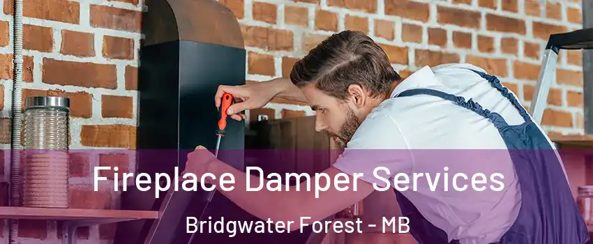  Fireplace Damper Services Bridgwater Forest - MB