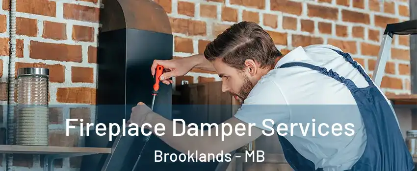  Fireplace Damper Services Brooklands - MB