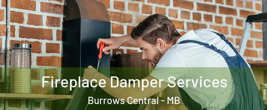  Fireplace Damper Services Burrows Central - MB