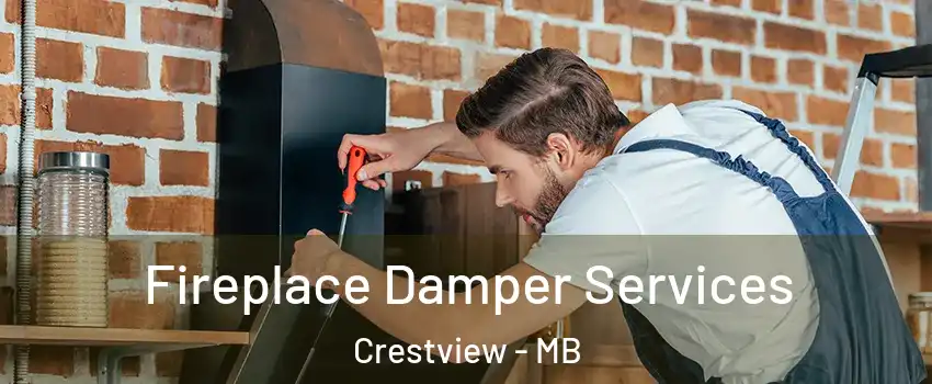  Fireplace Damper Services Crestview - MB