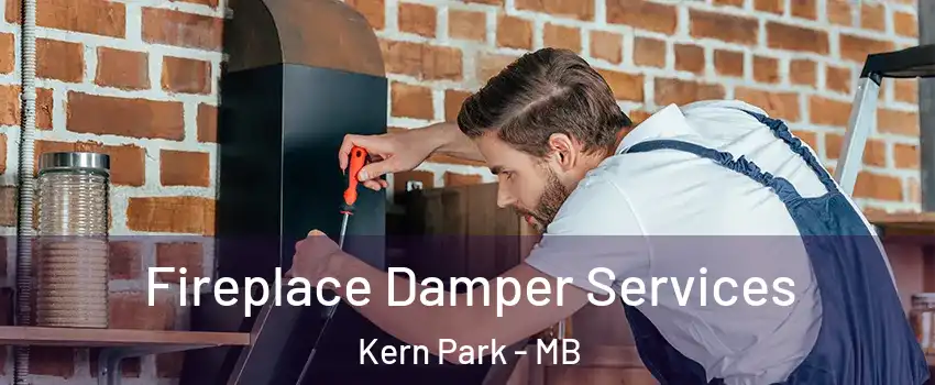  Fireplace Damper Services Kern Park - MB