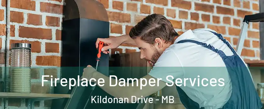  Fireplace Damper Services Kildonan Drive - MB