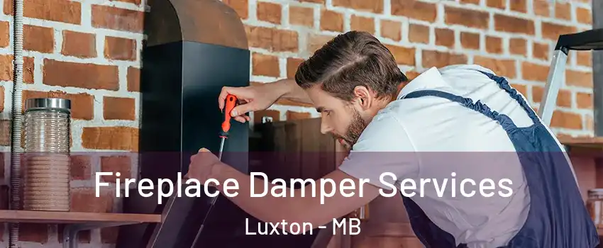  Fireplace Damper Services Luxton - MB