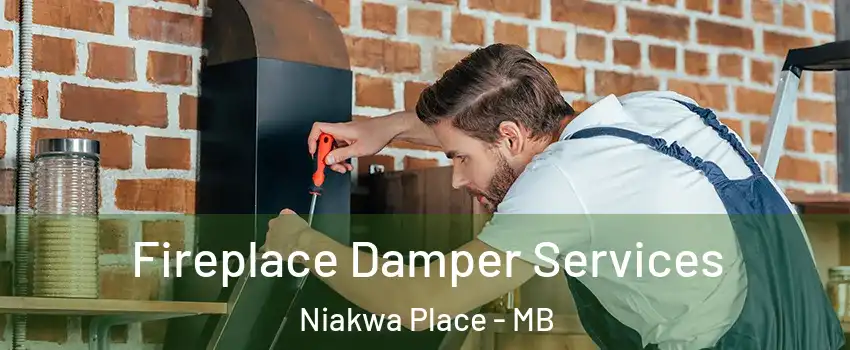  Fireplace Damper Services Niakwa Place - MB