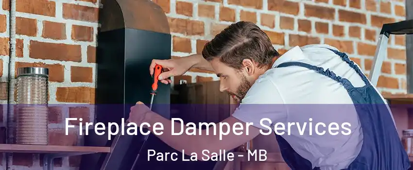  Fireplace Damper Services Parc La Salle - MB