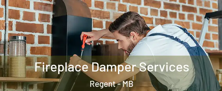  Fireplace Damper Services Regent - MB