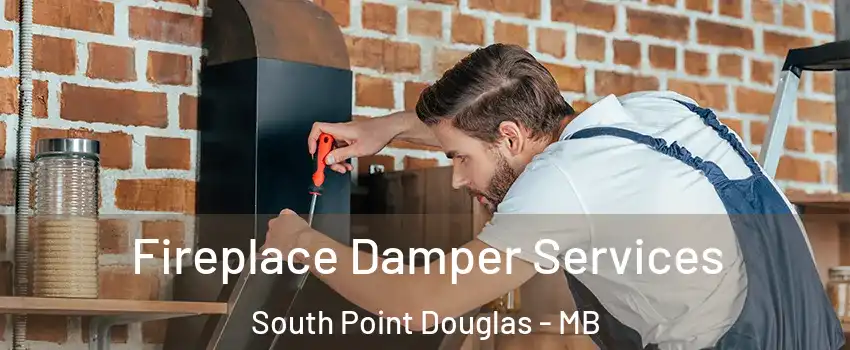  Fireplace Damper Services South Point Douglas - MB