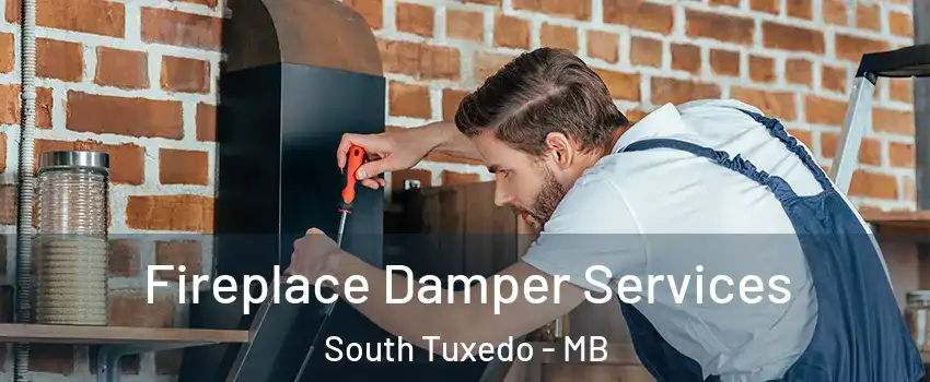  Fireplace Damper Services South Tuxedo - MB