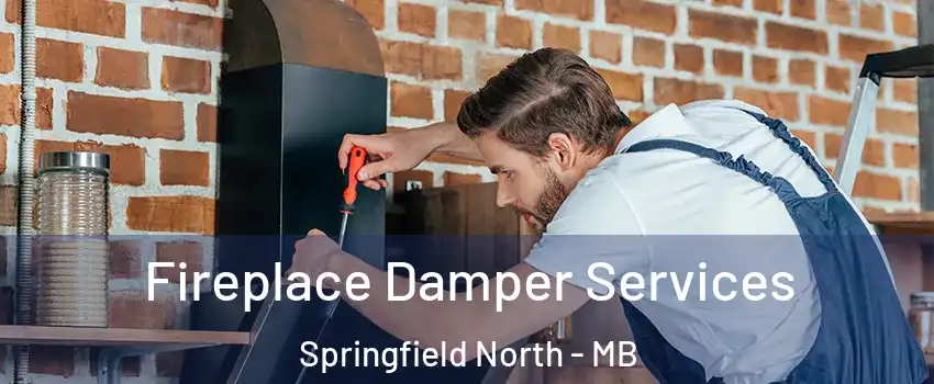  Fireplace Damper Services Springfield North - MB