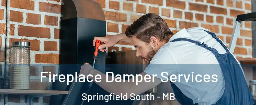  Fireplace Damper Services Springfield South - MB