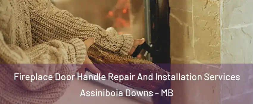  Fireplace Door Handle Repair And Installation Services Assiniboia Downs - MB