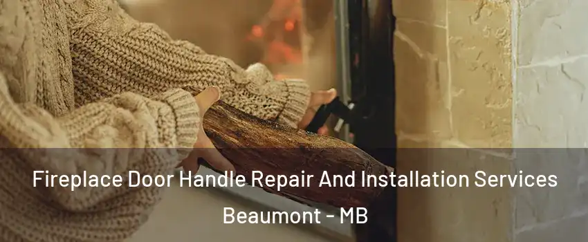  Fireplace Door Handle Repair And Installation Services Beaumont - MB