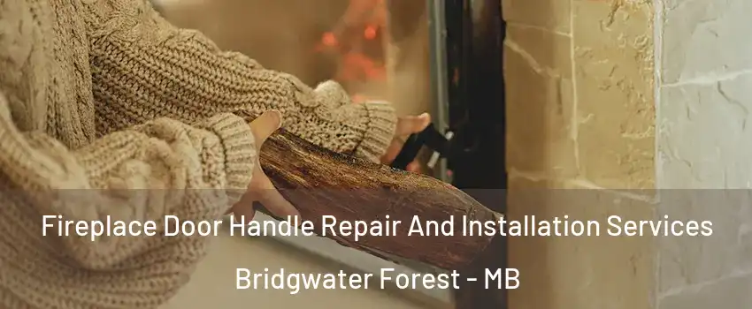  Fireplace Door Handle Repair And Installation Services Bridgwater Forest - MB