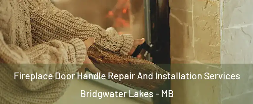  Fireplace Door Handle Repair And Installation Services Bridgwater Lakes - MB