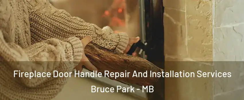  Fireplace Door Handle Repair And Installation Services Bruce Park - MB