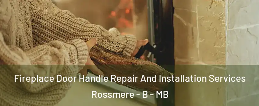  Fireplace Door Handle Repair And Installation Services Rossmere - B - MB