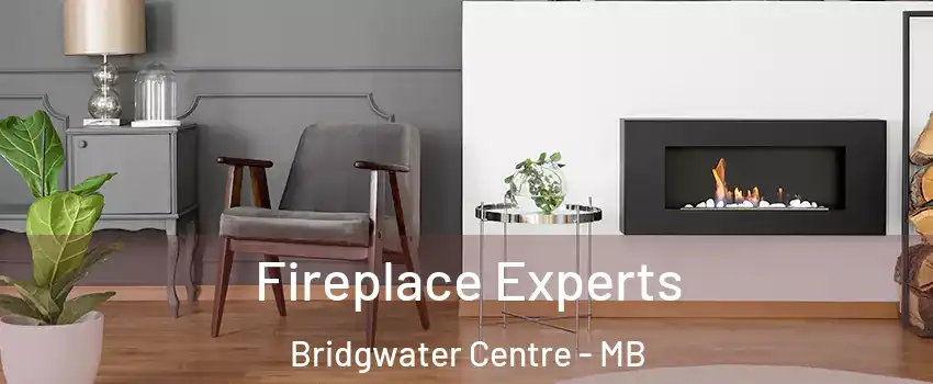  Fireplace Experts Bridgwater Centre - MB