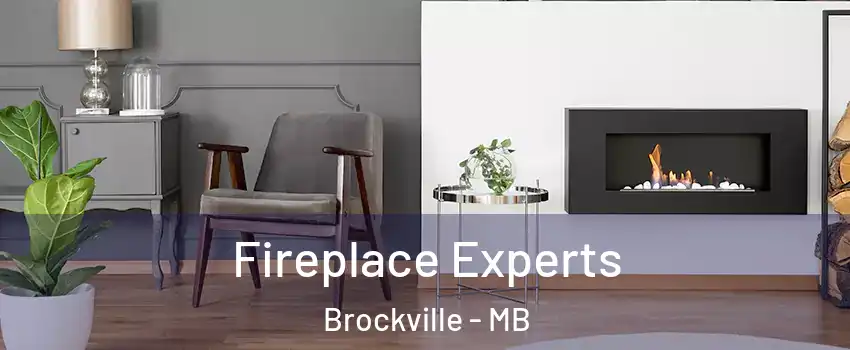  Fireplace Experts Brockville - MB
