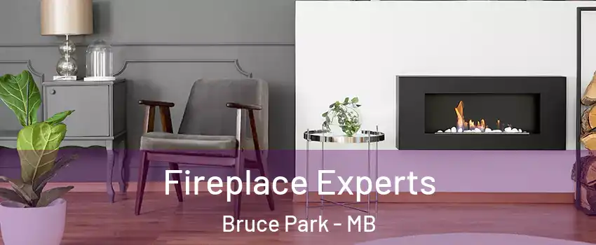  Fireplace Experts Bruce Park - MB