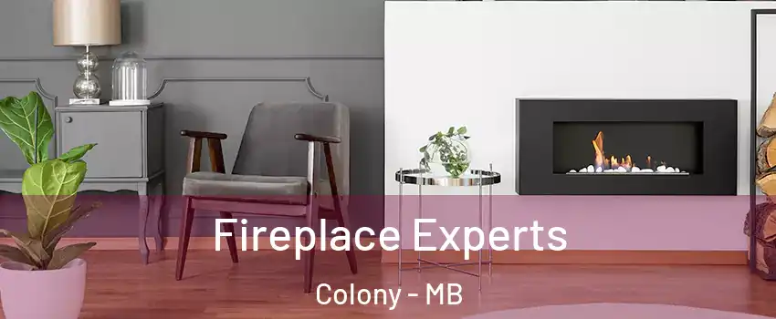  Fireplace Experts Colony - MB