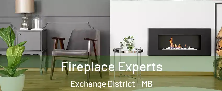  Fireplace Experts Exchange District - MB