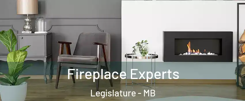  Fireplace Experts Legislature - MB