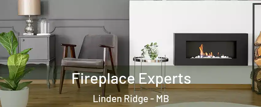  Fireplace Experts Linden Ridge - MB