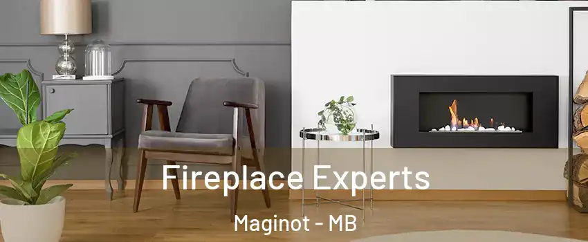  Fireplace Experts Maginot - MB