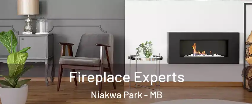  Fireplace Experts Niakwa Park - MB