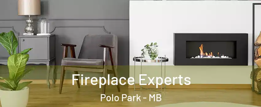  Fireplace Experts Polo Park - MB