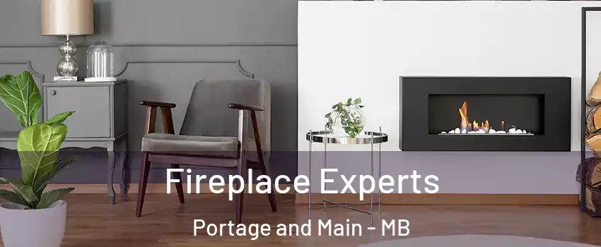  Fireplace Experts Portage and Main - MB