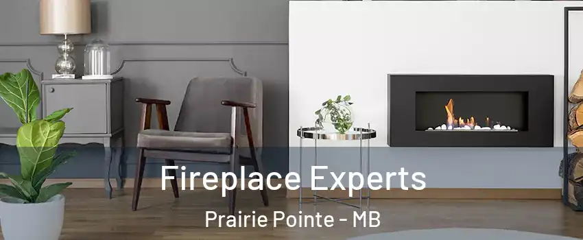  Fireplace Experts Prairie Pointe - MB