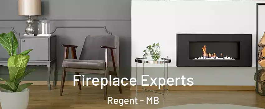  Fireplace Experts Regent - MB