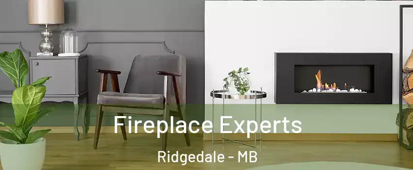  Fireplace Experts Ridgedale - MB