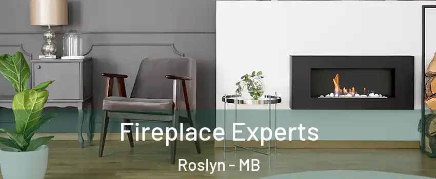  Fireplace Experts Roslyn - MB
