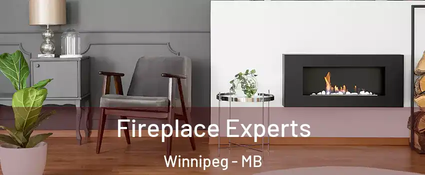  Fireplace Experts Winnipeg - MB