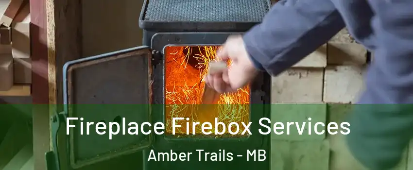 Fireplace Firebox Services Amber Trails - MB