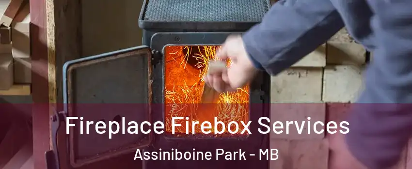  Fireplace Firebox Services Assiniboine Park - MB