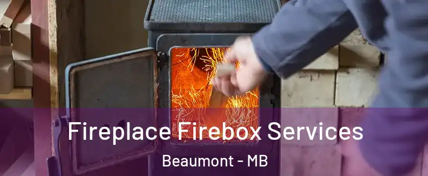 Fireplace Firebox Services Beaumont - MB