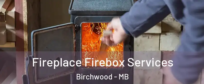  Fireplace Firebox Services Birchwood - MB