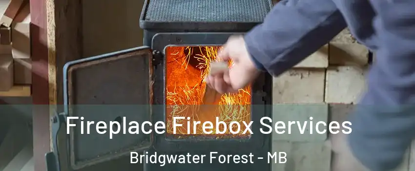  Fireplace Firebox Services Bridgwater Forest - MB