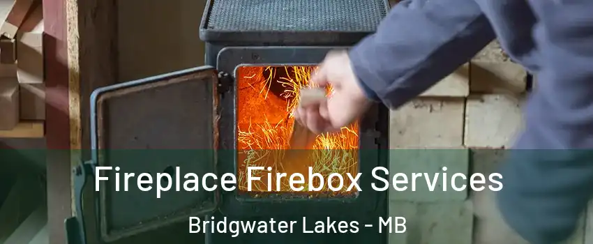  Fireplace Firebox Services Bridgwater Lakes - MB