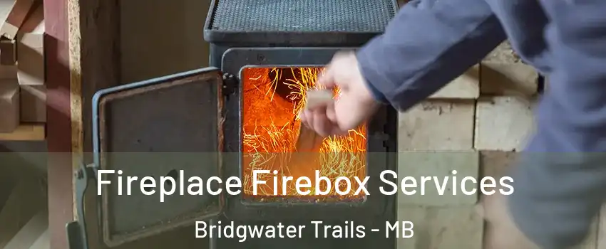  Fireplace Firebox Services Bridgwater Trails - MB