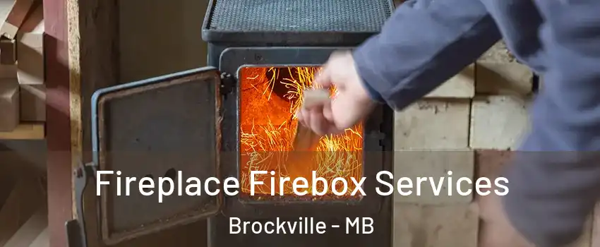  Fireplace Firebox Services Brockville - MB