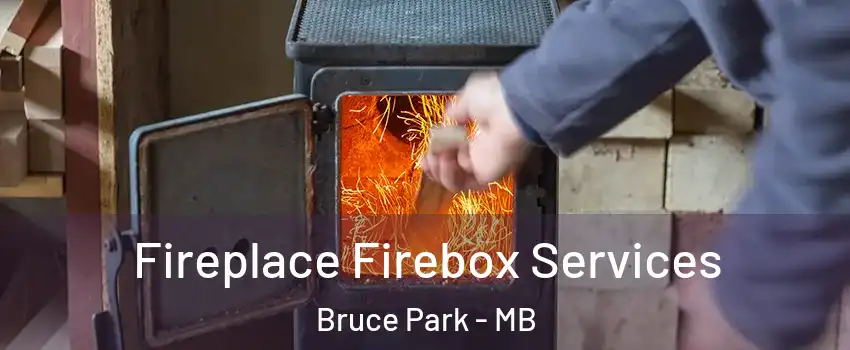  Fireplace Firebox Services Bruce Park - MB