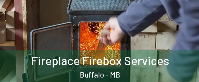  Fireplace Firebox Services Buffalo - MB