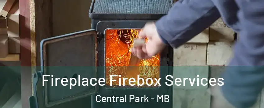  Fireplace Firebox Services Central Park - MB